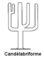 Candélabriforme