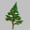 arbre vente