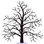 arbre