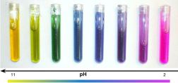 anthocyanes ph