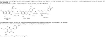 anthocyanes