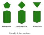 anguleux tiges