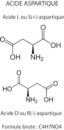 Acide Aspartique