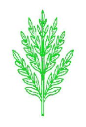 Bipennatipartite