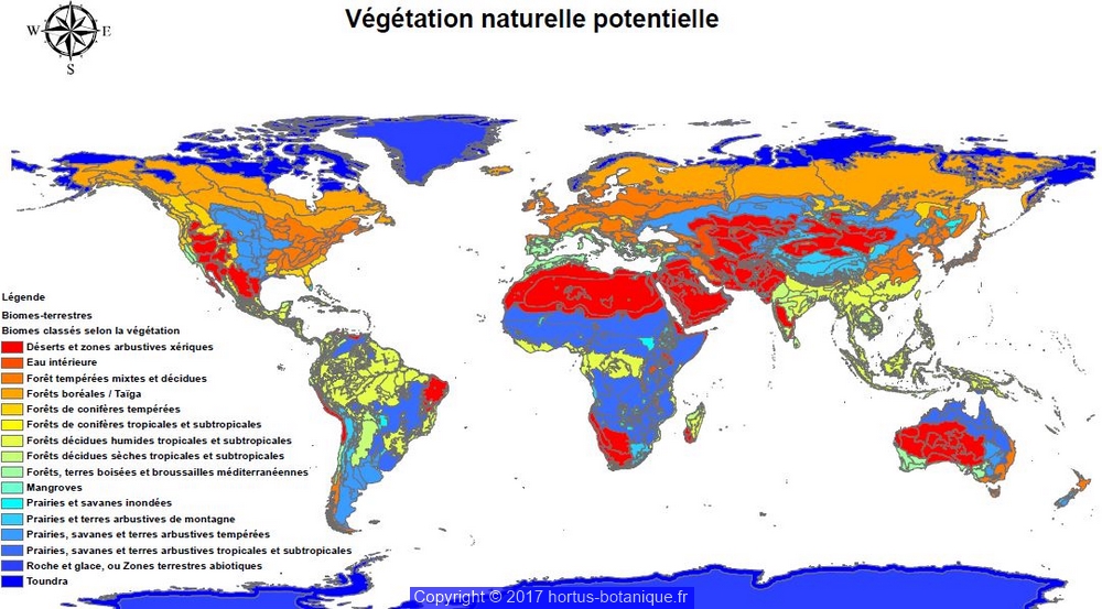 biomes terrestres