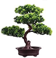 bonzai