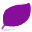 violet (3)